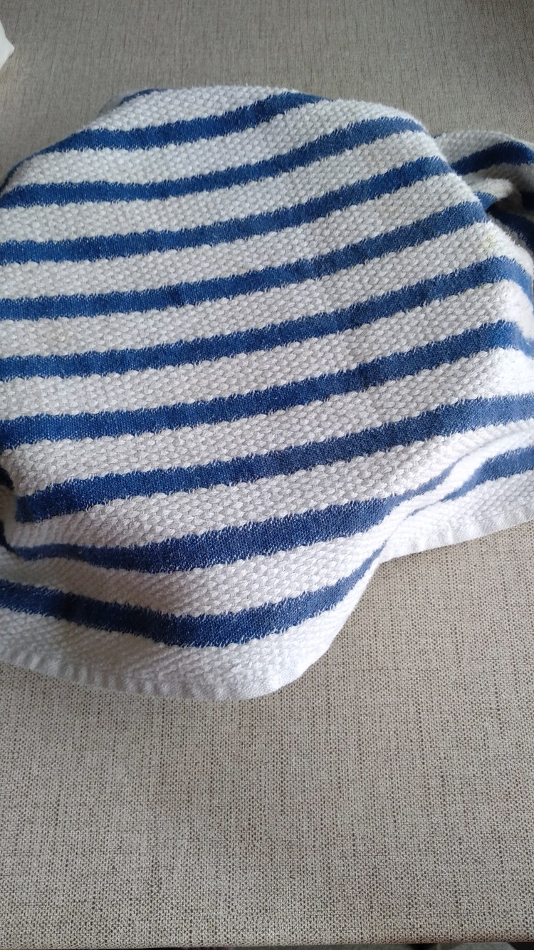 IMG_20200306_113439 (1)